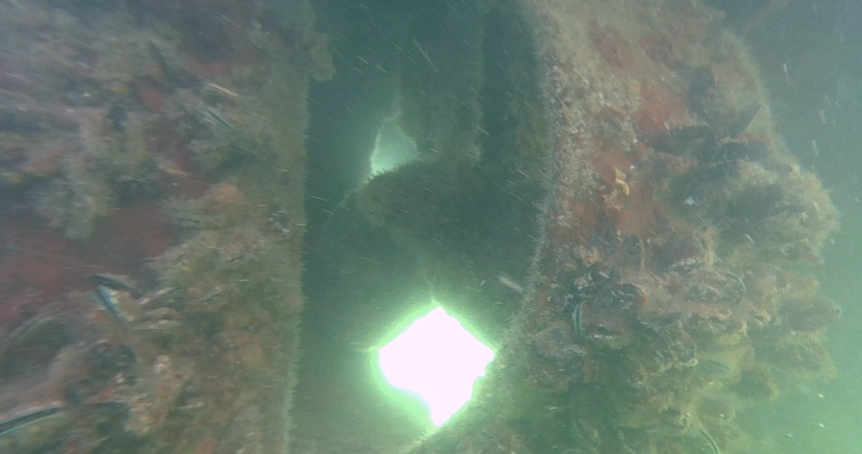 Ship-Hull Inspections