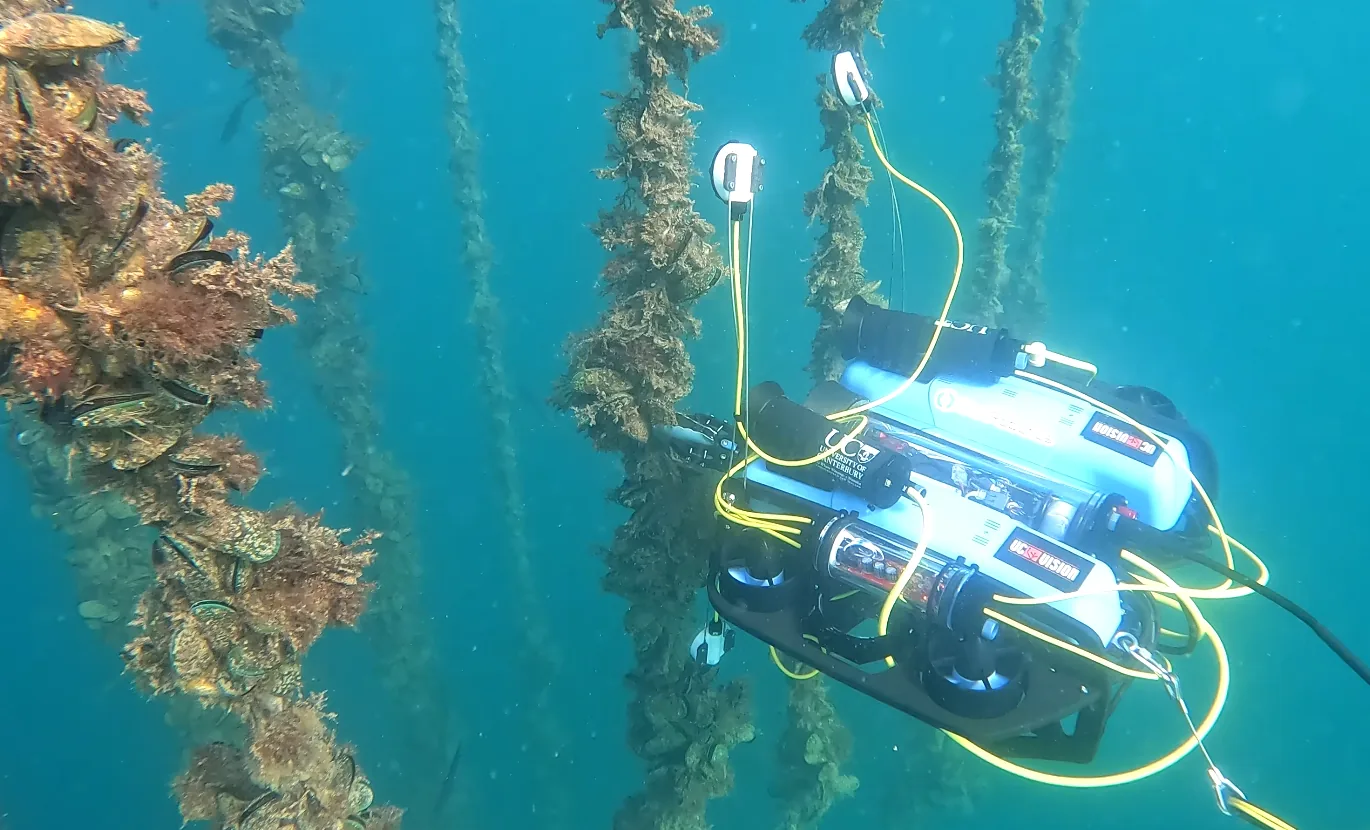 The UWAI survey vehicle hovering beside mussel dropper lines on a long-line farm