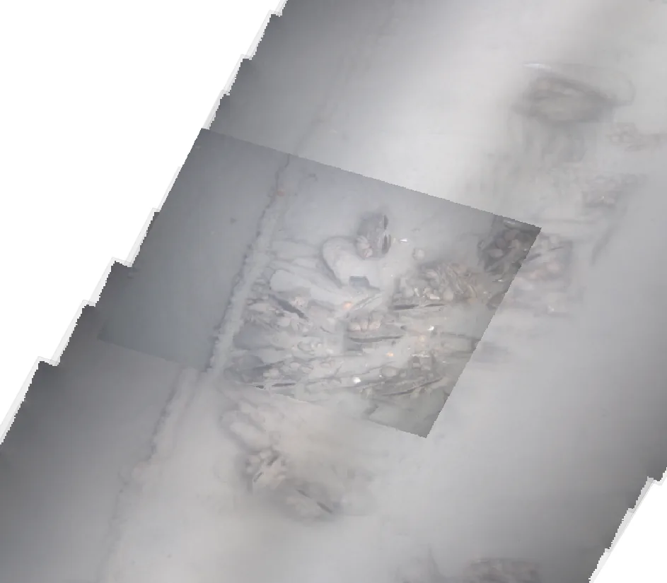 Seabed photomosaic with a full-resolution camera frame overlaid, showing a cluster of scallops
